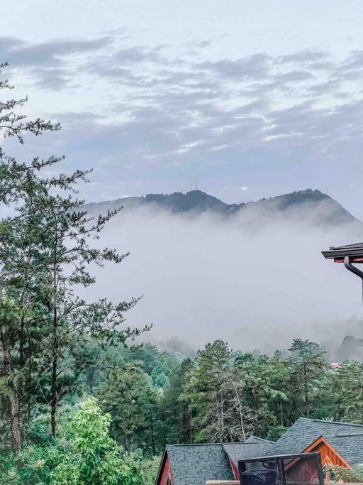 Indoor Heated Pool Hot Tub Cabin 세비어빌 외부 사진